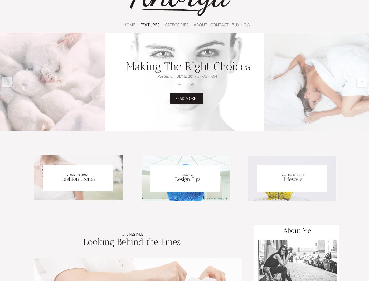 Anorya Wordpress Theme